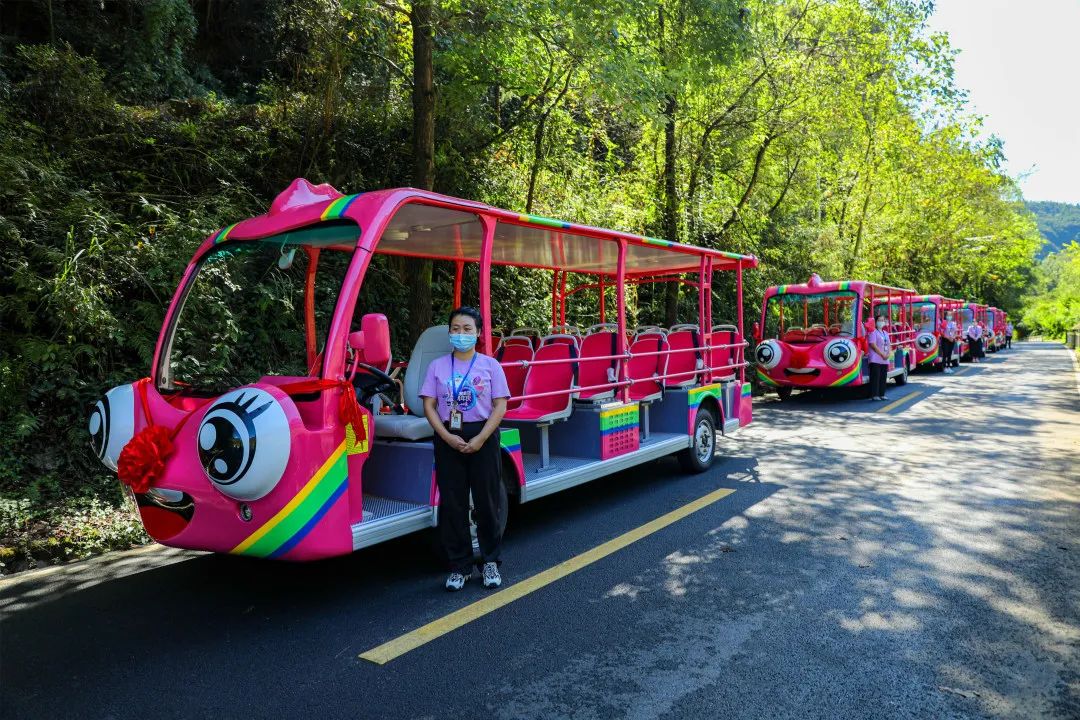 你能想象驾驶景区观光车有多“简单”？！