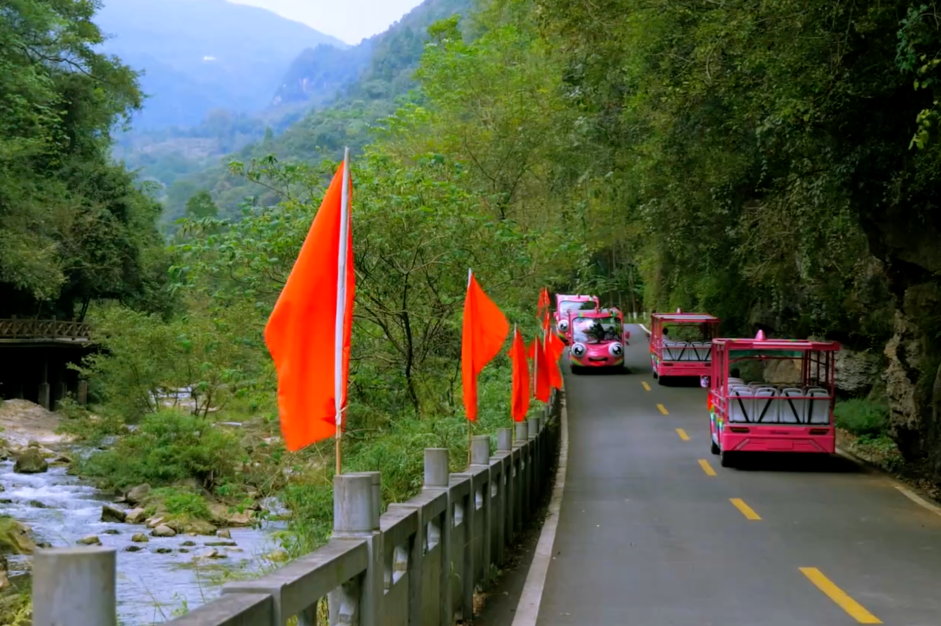 你能想象驾驶景区观光车有多“简单”？！