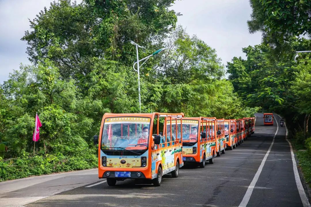 你能想象驾驶景区观光车有多“简单”？！