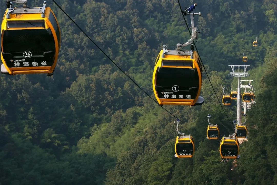 所有郑州人免费了！9888拉斯维加斯观光车带你嗨玩竹海野生动物园！