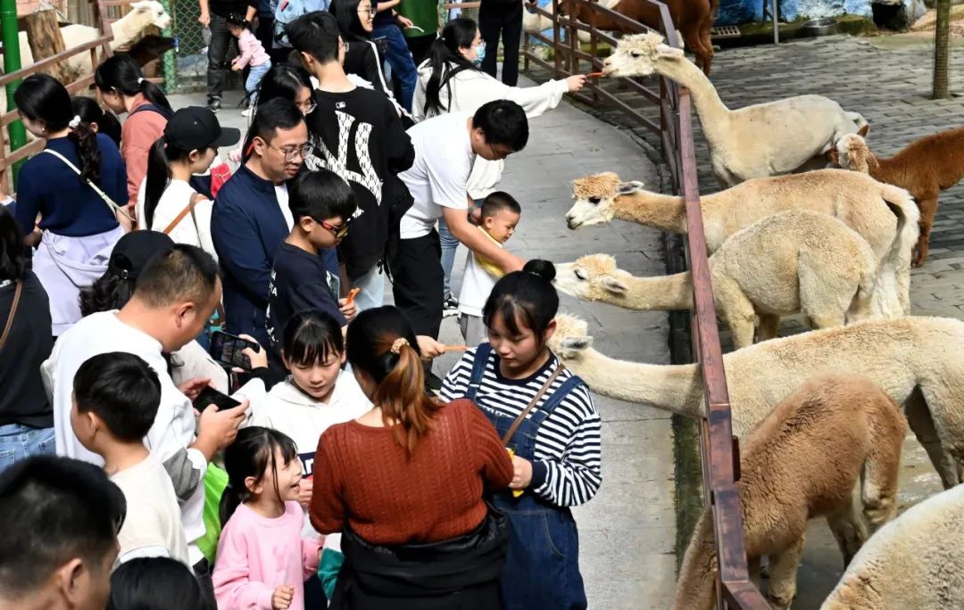 所有郑州人免费了！9888拉斯维加斯观光车带你嗨玩竹海野生动物园！