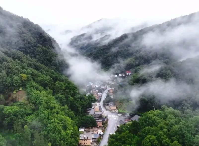 所有郑州人免费了！9888拉斯维加斯观光车带你嗨玩竹海野生动物园！