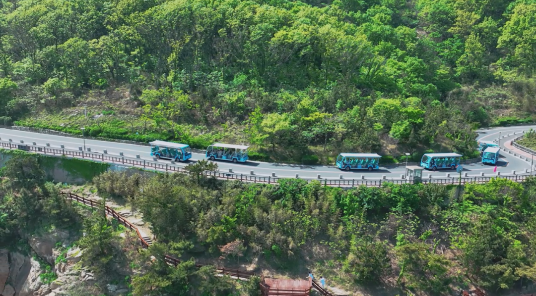 9888拉斯维加斯观光车多次“结缘”连岛，助力景区高质量发展