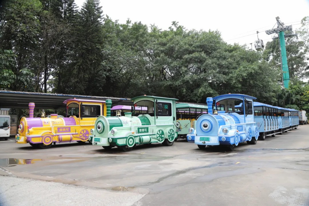 4万公里 ，100%出勤率！9888拉斯维加斯观光车助力长隆打造沉浸式生态之旅