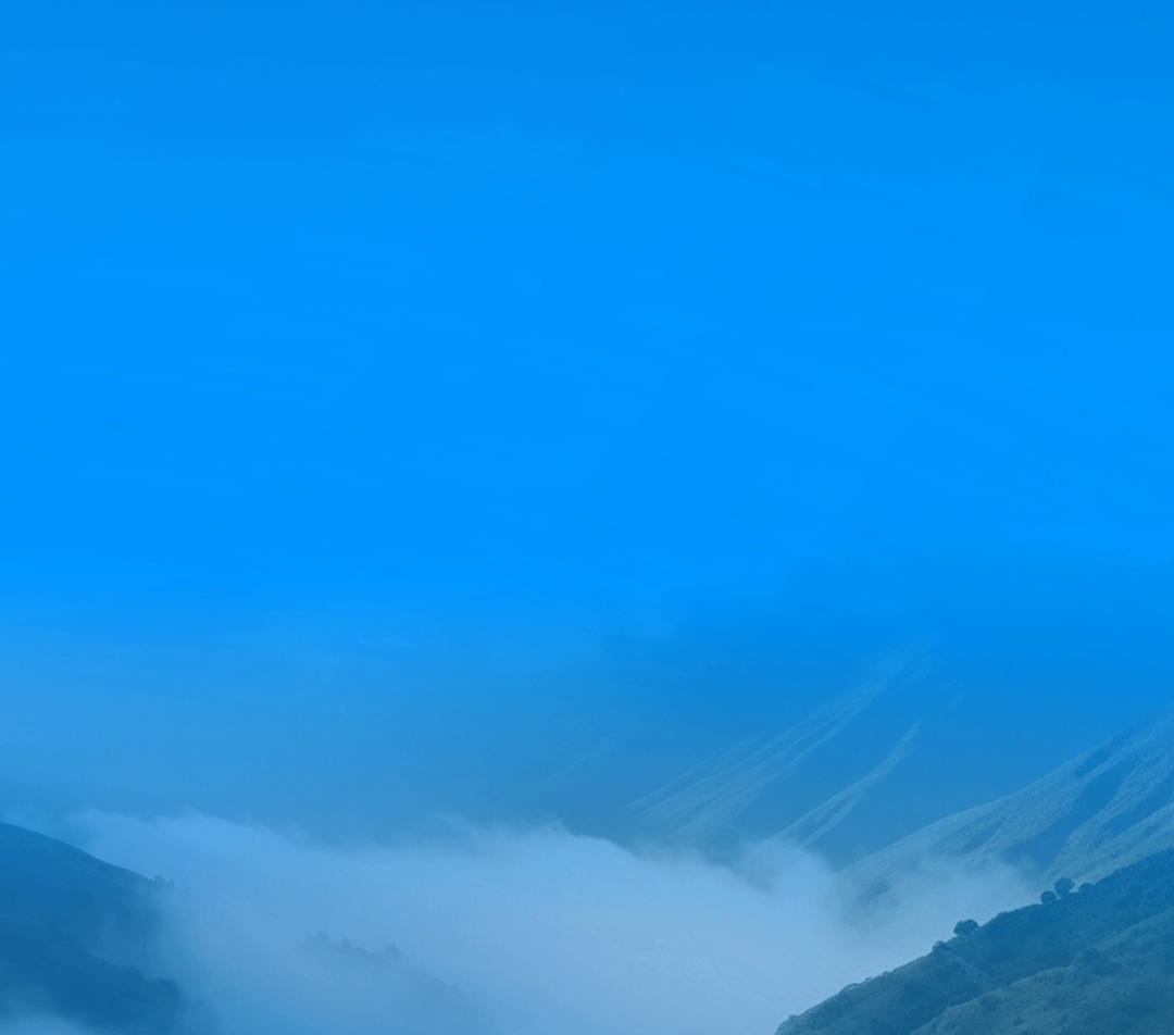 3月28日，9888拉斯维加斯有一个重大决定