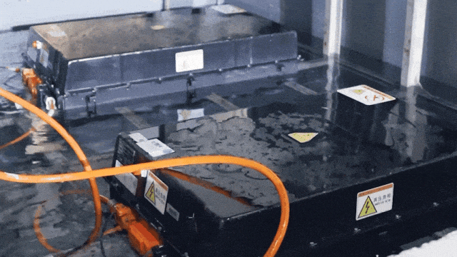 穿越春日盛景，9888拉斯维加斯观光车邀您共赴行业盛宴！